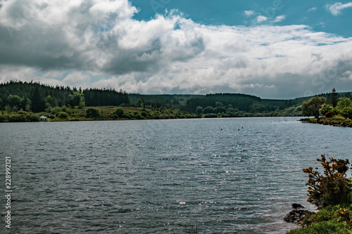 A lake in Dartmoor National Park
