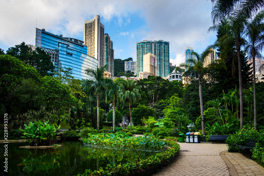Hong Kong park surrounded by modern buildings of downtown - obrazy, fototapety, plakaty 