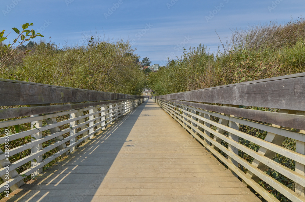 wooden bridge over Redwood Creek Muir Beach, Marin County, California