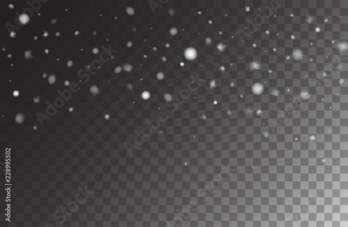 Winter Snowfall Ice Texture Vector Transparent Background. Realistic Snow Confetti Falling Down, Isolated Snowflake Scatter. Random Moving Realistic Snow Confetti, Christmas New Year Frost Decoration.