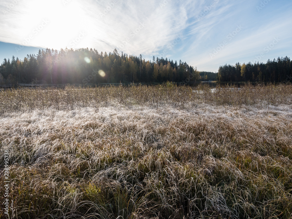 Fototapeta premium Frost at flood meadow