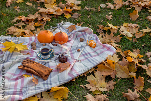 Autumnal picnic with tea at woolen blanket