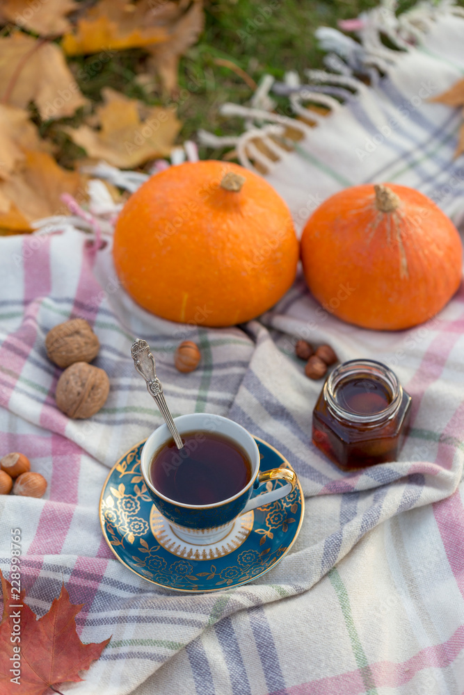 Autumnal picnic with tea at woolen blanket Autumnal picnic with tea at woolen blanket