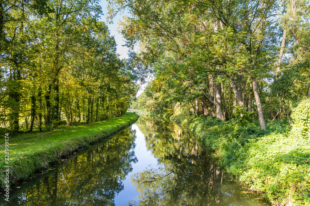 Fresh green trees reflecting in a little river in the Netherlands Fresh green trees reflecting in a little river in the Netherlands