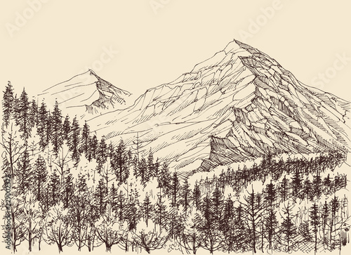 Mountains panorama, alpine forest drawing