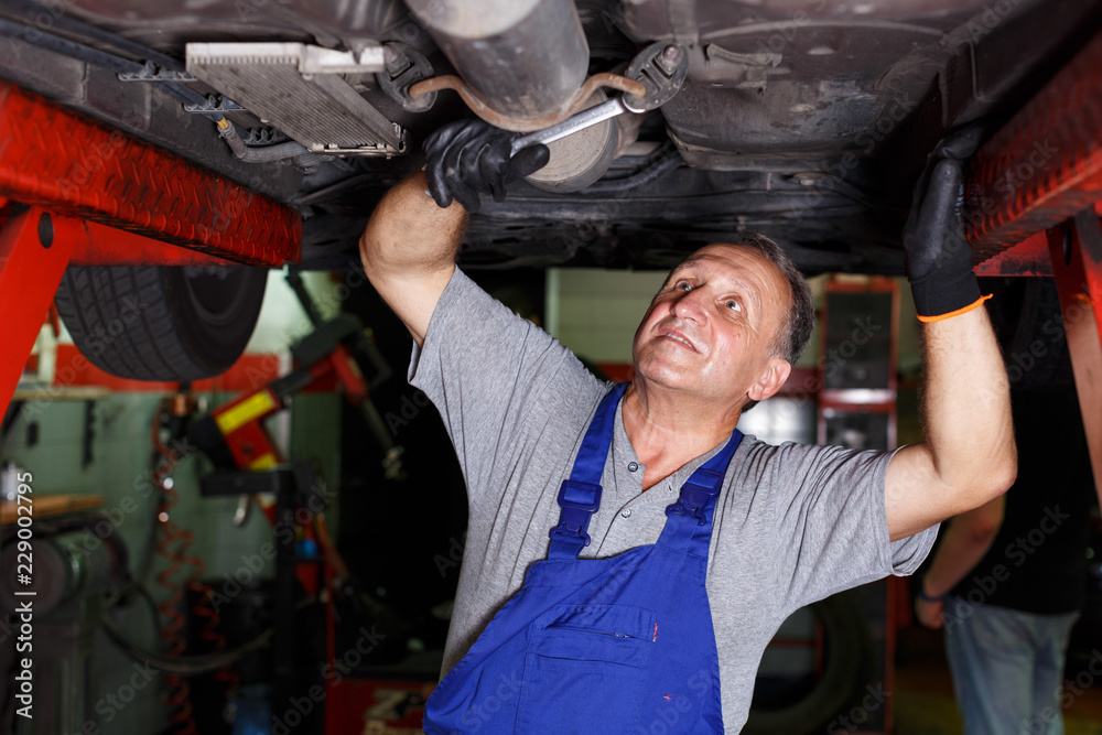 Mechanician repairing car