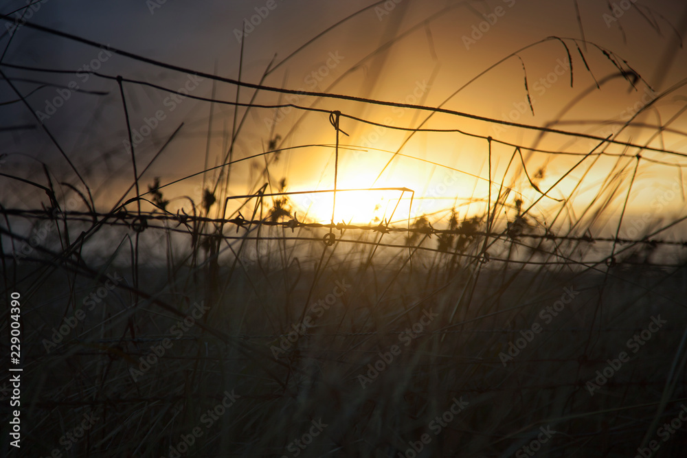 Obraz premium Farm Wire Fence With Dawn Sun Rise