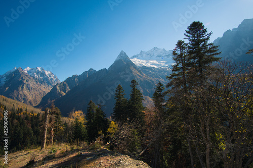 Landscape beautiful mountains with forest and pines and blue sky with sun rays and highlights in the Caucasus in Russia Dombay photo