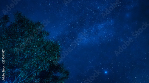 landscape and star  concept from beautiful movement of star and milky way with blue background and tree foreground on autumn season