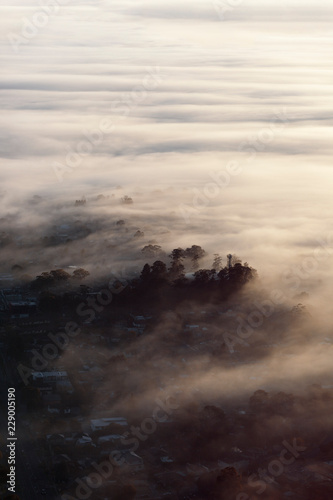Fog Rolling Past Forest & Home Areas