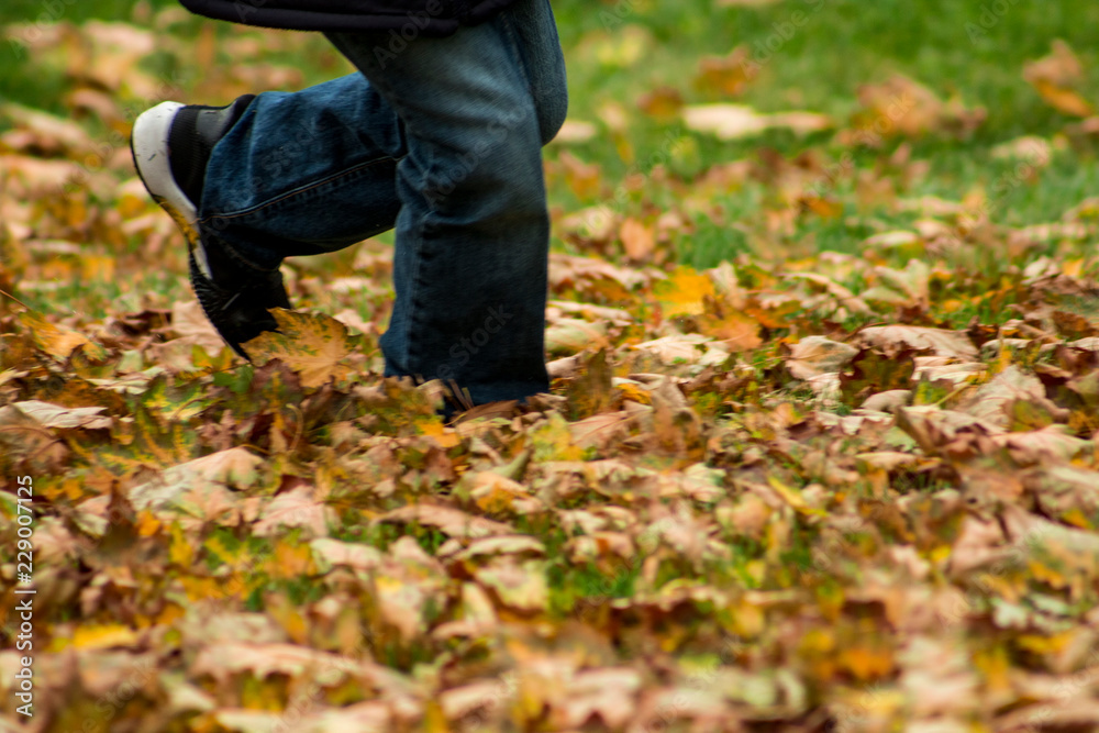 Kid playing in autumn park Kid playing in autumn park