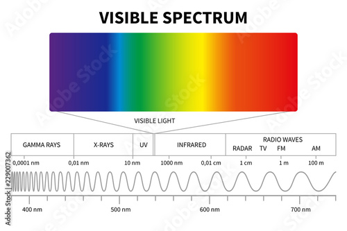 Visible light diagram. Color electromagnetic spectrum, light wave frequency. Educational school physics vector background. Illustration of spectrum diagram rainbow, infrared and electromagnetic photo