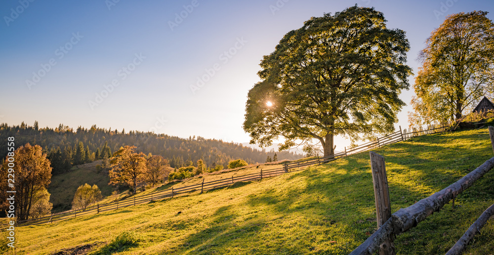 idyllic view of the Carpathian mountains