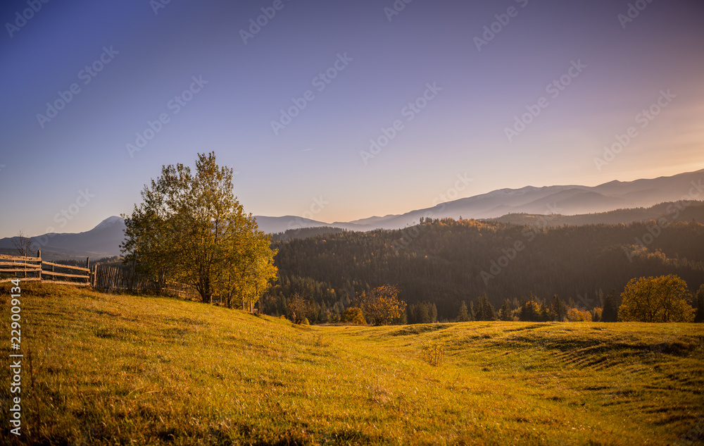 idyllic view of the Carpathian mountains