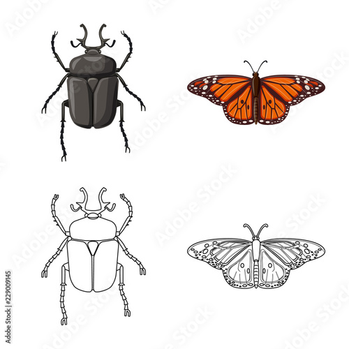 Vector design of insect and fly icon. Set of insect and element stock symbol for web.