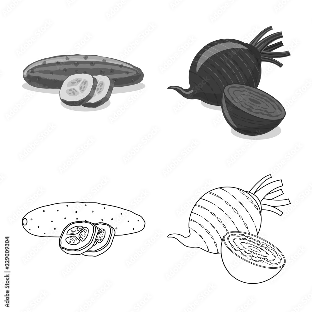 Vector illustration of vegetable and fruit icon. Set of vegetable and vegetarian stock vector illustration. Vector illustration of vegetable and fruit icon. Set of vegetable and vegetarian stock vector illustration.