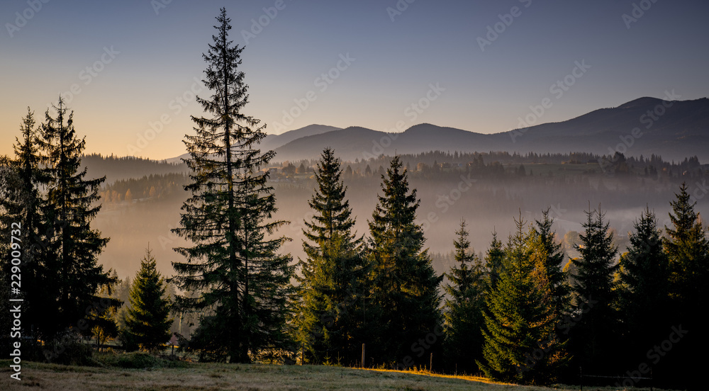 idyllic view of the Carpathian mountains