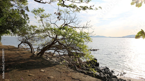 蒲郡 竹島の遊歩道から臨む竹島の海 © kutakaf