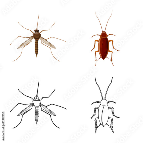 Vector illustration of insect and fly symbol. Set of insect and element stock vector illustration.