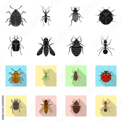 Vector illustration of insect and fly logo. Collection of insect and element stock symbol for web. © Svitlana