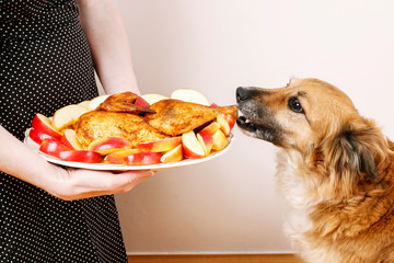 Dog stealing a roasted chicken.
