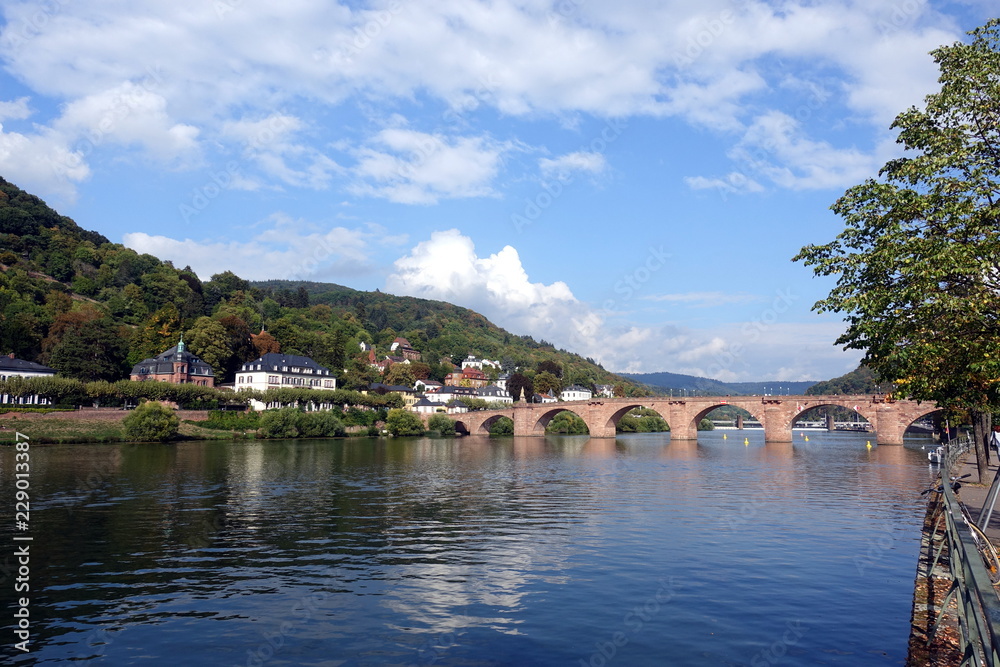 Fototapeta premium Alte Brücke Heidelberg