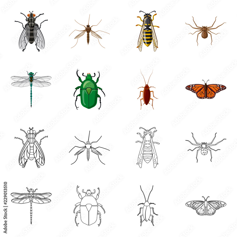 Isolated object of insect and fly logo. Set of insect and element vector icon for stock. Isolated object of insect and fly logo. Set of insect and element vector icon for stock.