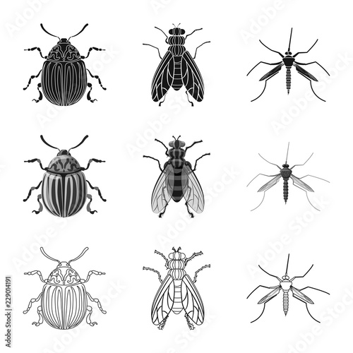 Vector design of insect and fly icon. Collection of insect and element vector icon for stock. © Svitlana