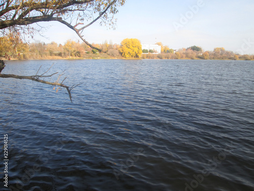 beautiful view of the pond
