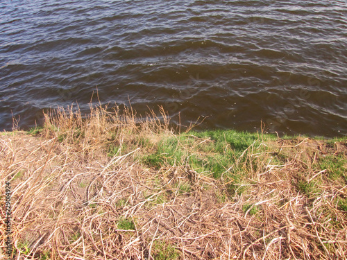 the coast of the pond