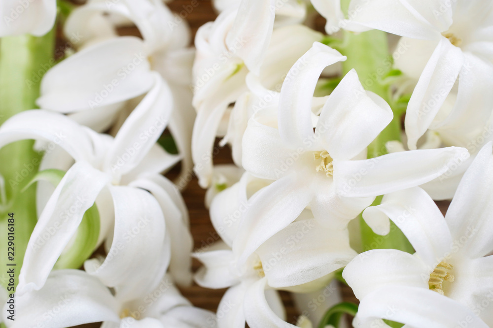 White hyacinth flowers.