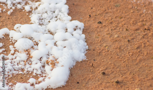 Photos Salt on the soil surface