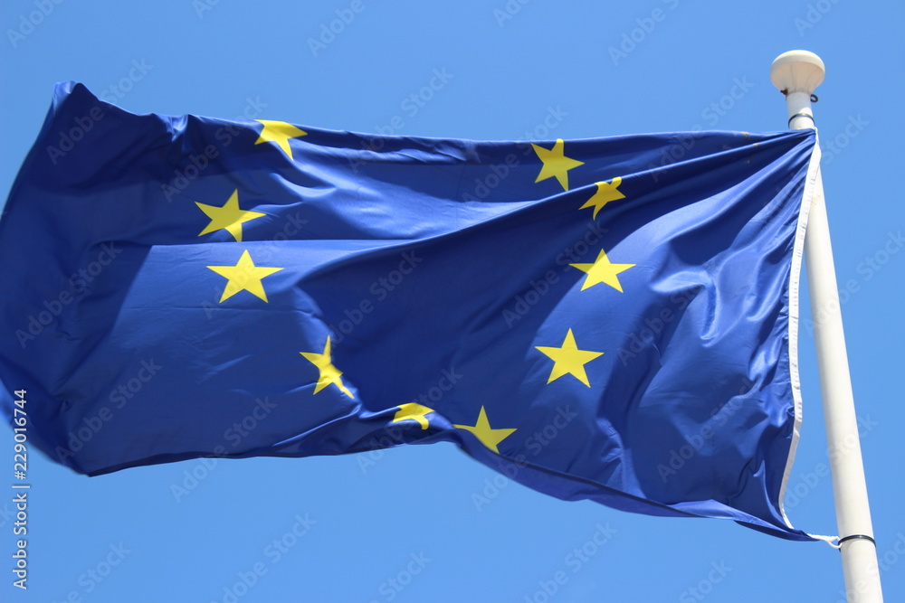 flag of european union flag of european union