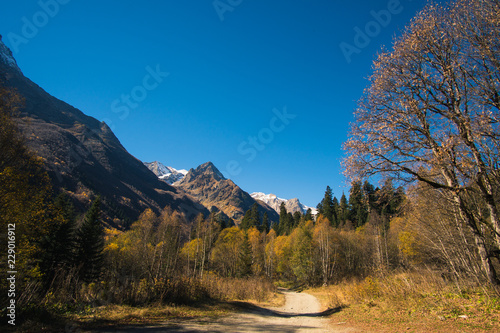 Landscape beautiful mountains with forest and pines and blue sky with sun rays and highlights in the Caucasus in Russia Dombay photo