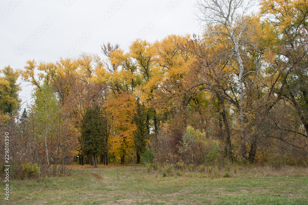  Beautiful autumn state of nature