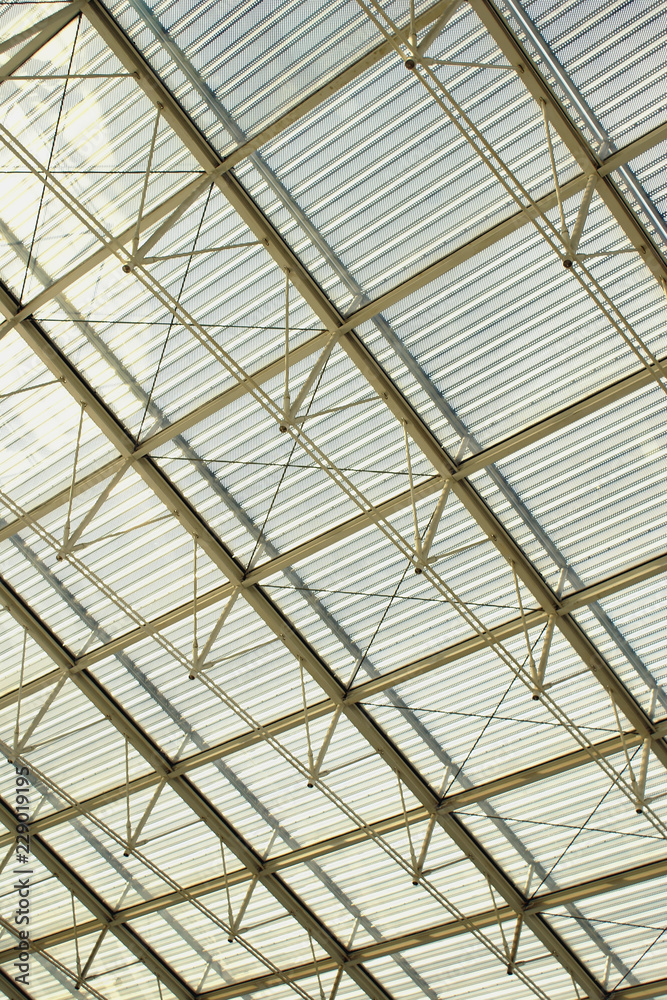Glass Roof Skylight With Space Frame Structures
