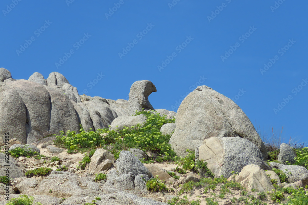 Funny rock formation resembling a duck at the beach of Spiaggia Su Giudeu, Sardinia, Italy
