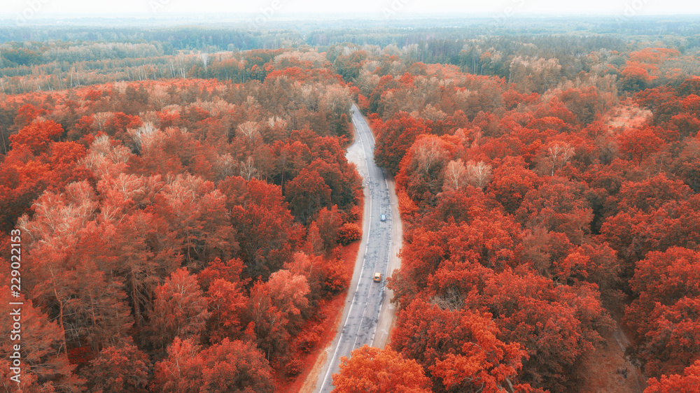 Φωτογραφία Aerial view of road in beautiful autumn forest at sunset