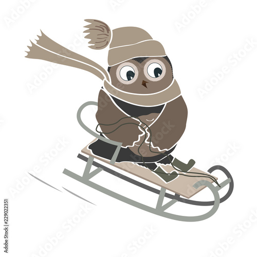 Funny and cute sledging owl. New Year and Christmas card. Vector illustration