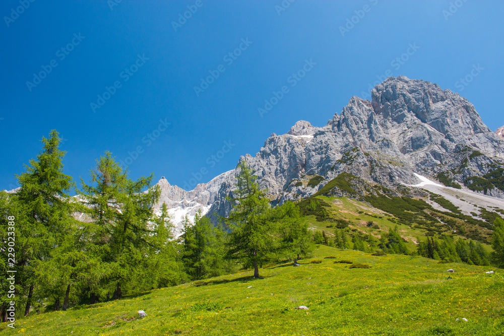 View closeup Alpine rocks in National park Dachstein, Austria, Europe. Blue sky and green forest in summer day