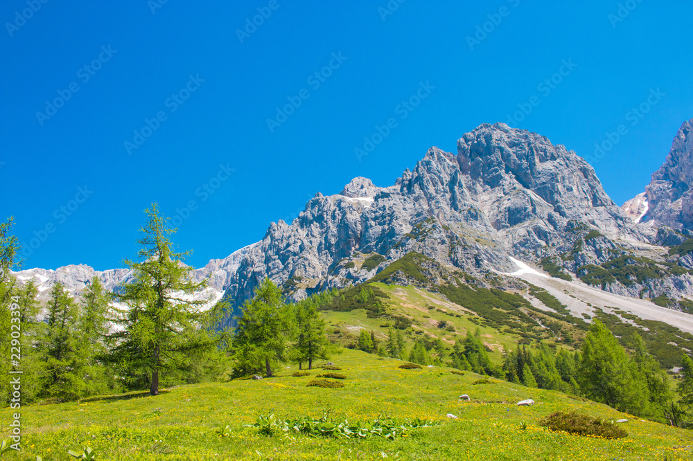 View closeup Alpine rocks in National park Dachstein, Austria, Europe. Blue sky and green forest in summer day