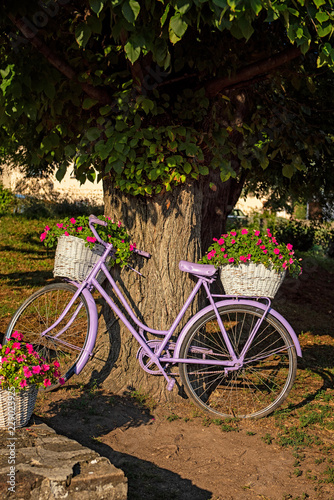 Pink bike with flower on it