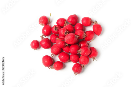 Ripe hawthorn berries