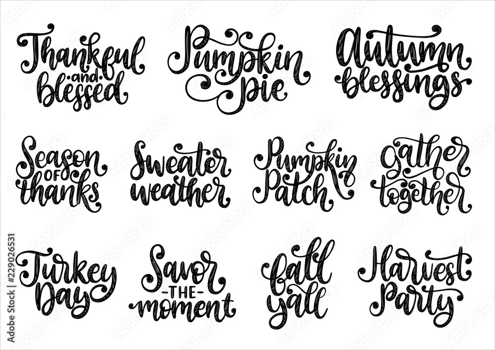 Set with lettering for Thanksgiving Day. Season Of Thanks, Pumpkin Pie, Thankful and Blessed, vector handwritten phrases