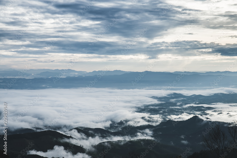 fog and cloud mountain valley spring landscape.