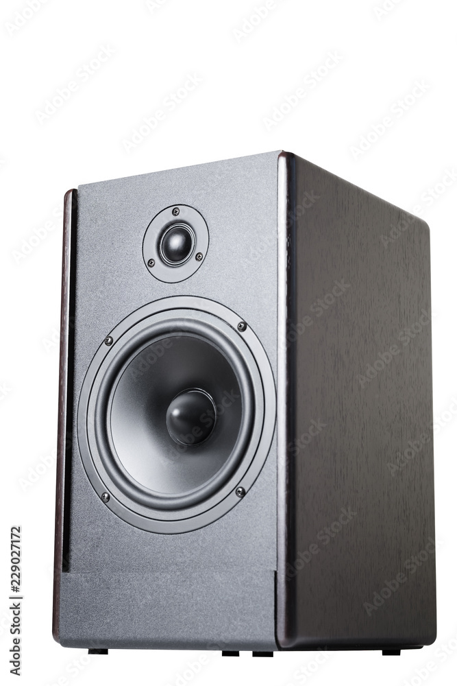 Wooden black audio speaker on a white background isolate Wooden black audio speaker on a white background isolate