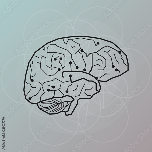 Human brain. Network of neurons. Vector illustration