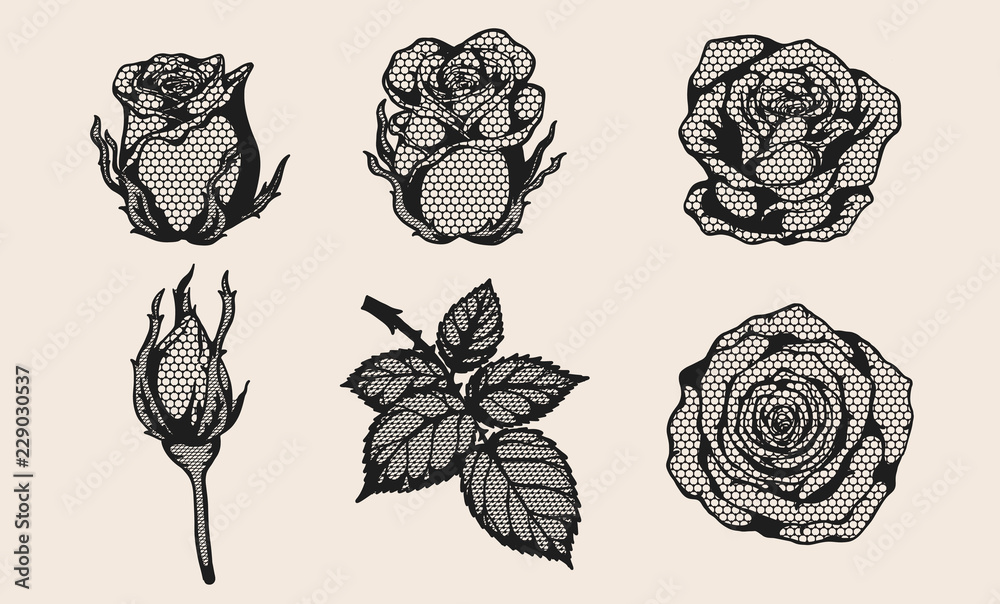 Rose lace vector set by hand drawing.Beautiful flower on brown background.Rose lace vector art highly detailed in line art style.Flower tattoo for paint or pattern.