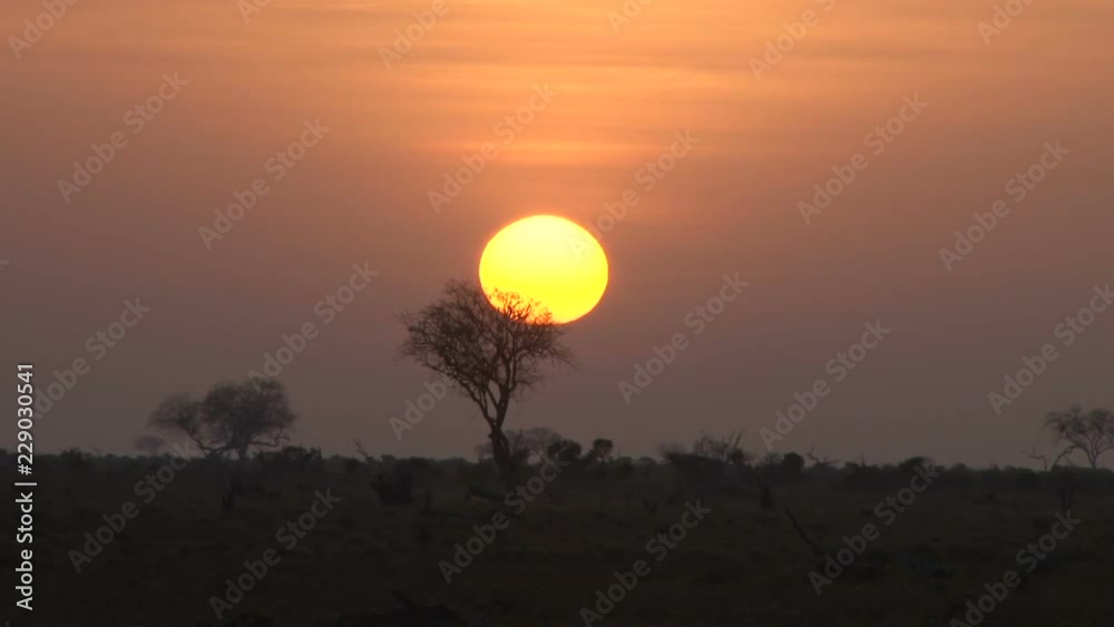 A timelapse of the rising sun in the bush.