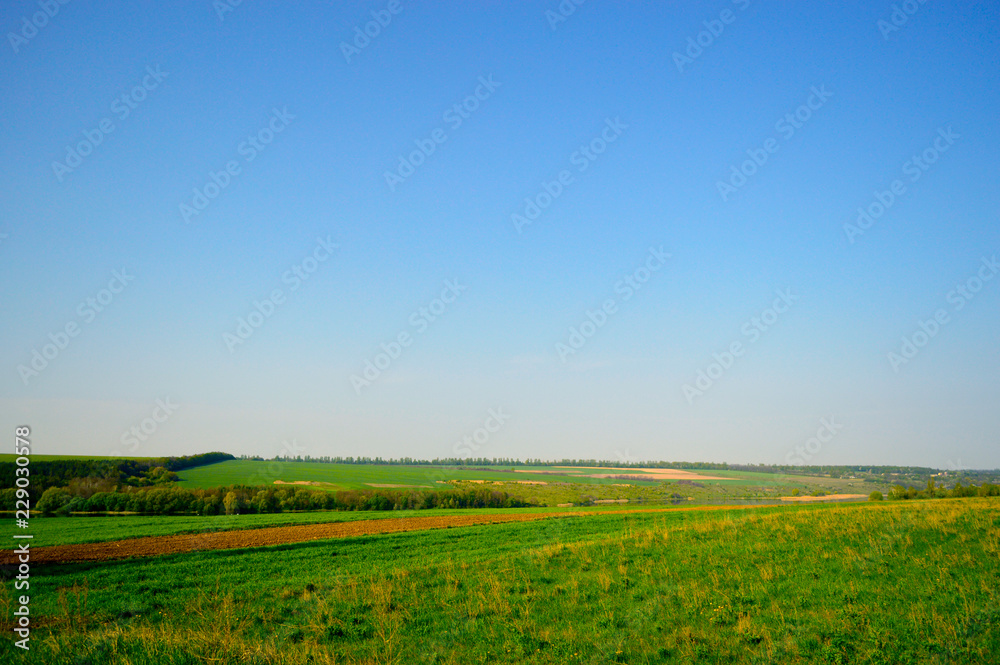 Field horizon with blue sky and clouds